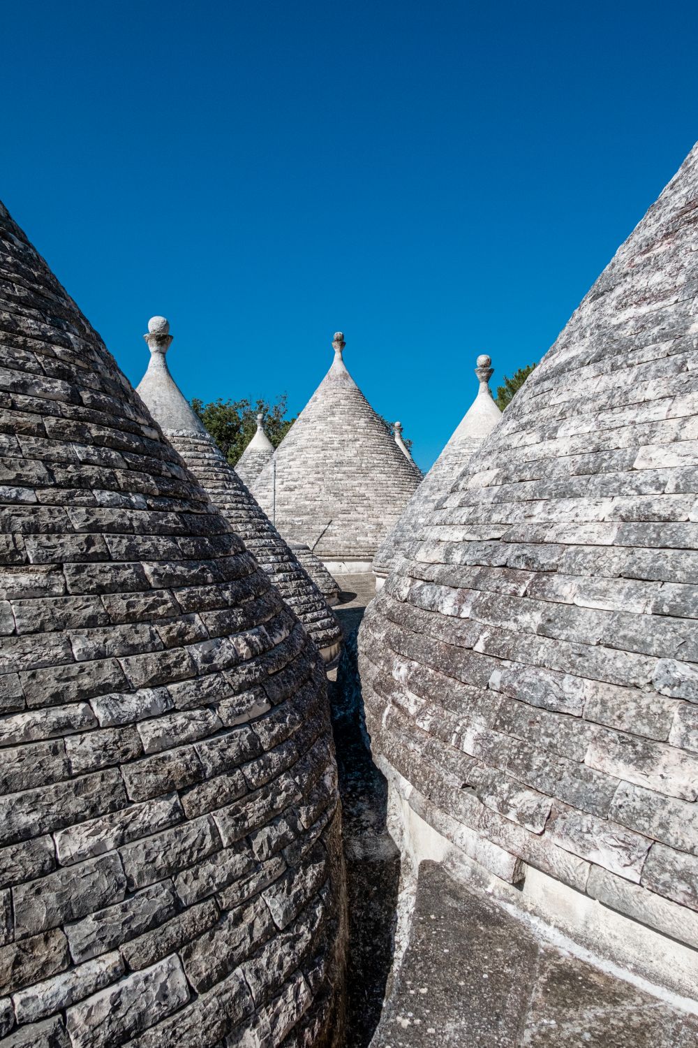 Selva Resort - Coni Trulli
